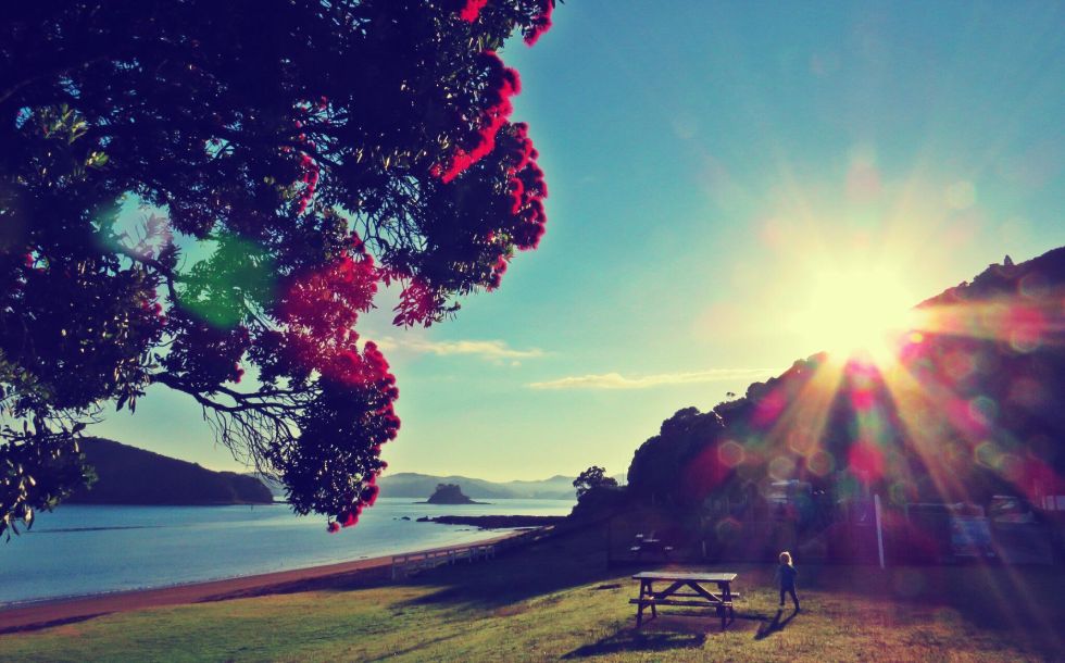 Paihia beach accommodation at Bayview Motel